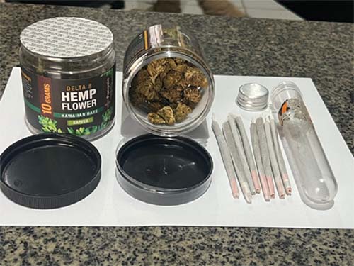 Jovem é flagrado com 20 gramas de maconha em ônibus na BR 101 em São Sebastião