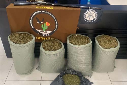 Mais de 62 quilos de drogas e 37 armas de fogo são retidos em Alagoas