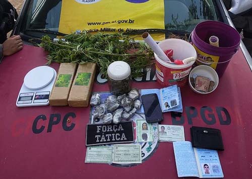 Casal é preso com pé de maconha em casa e quase 2 kg da droga em Rio Largo