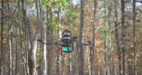 Drone que voa sozinho em florestas pode ser aliado contra desmatamento