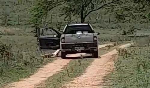 Homem e adolescente são mortos dentro de carro no Sertão alagoano