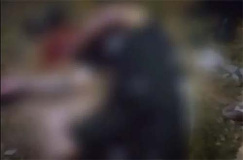 Dupla de Jovens Executados no Bairro Vergel do Lago em Maceió