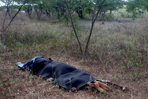 Corpo é encontrado crivado de balas em Palmeira dos Índios