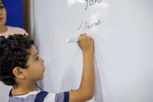 Por que ditados não ajudam crianças a aprender palavras e outros erros frequentes no ensino de ortografia