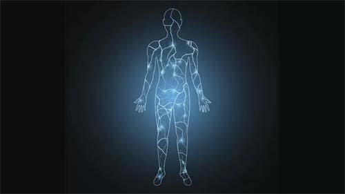 O que é electroma, rede do corpo humano recém-descoberta que pode revolucionar tratamento do câncer