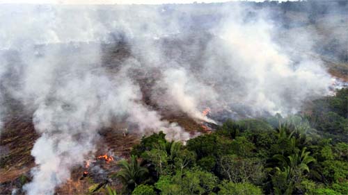 Chegada de El Niño ameaça ainda mais Amazônia e pode elevar temperatura global a 1,5ºC