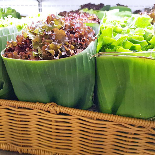 Embalagem com folha de bananeira começa a ser usada em supermercado de São Paulo