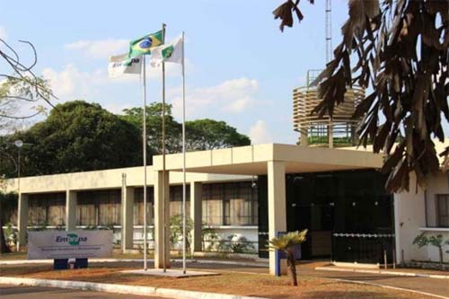 Embrapa lança concurso com 1.027 vagas; veja detalhes do edital