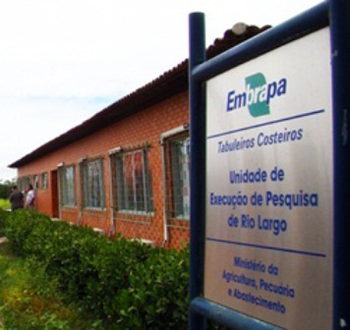 Bancada federal destina R$ 5 milhões para a instalação da Embrapa em AL