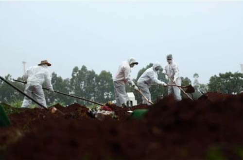 Pandemia faz Brasil registrar 22% mais mortes que o esperado para 2020