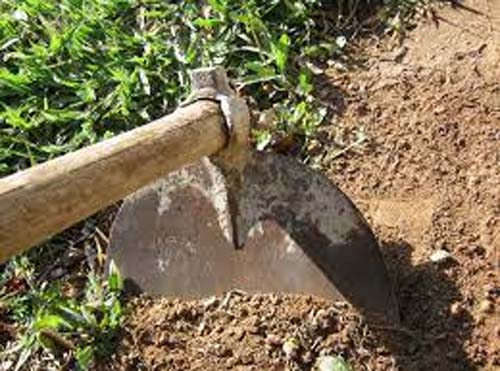 Mulher suspeita de ter matado companheiro a golpes de enxada é presa em Alagoas