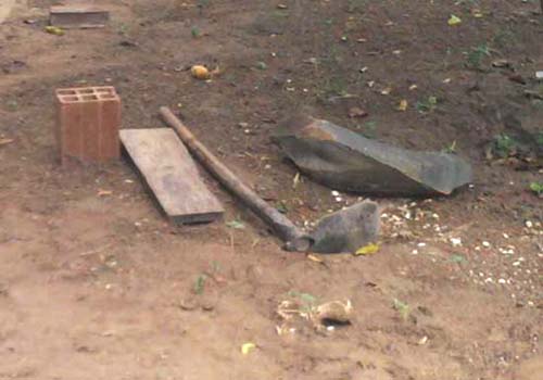 Homem espanca animal de estimação até a morte