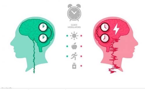 Pesquisa da Ufal sobre epilepsia detecta horários mais frequentes de crises