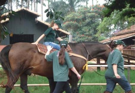 Alagoas aposta na equoterapia como método terapêutico de eficiência