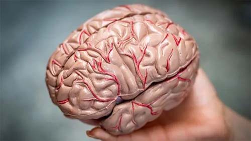 Como funciona o cérebro de um psicopata?