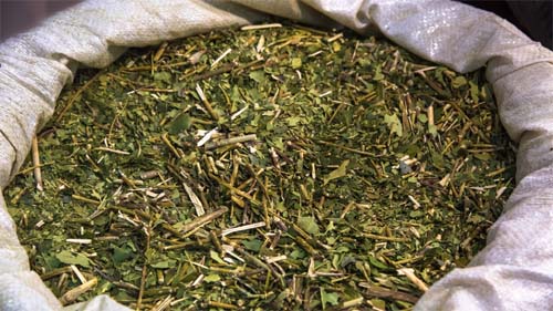 Angola, Coreia do Sul e Rússia abrem os seus mercados aos produtos agrícolas do Brasil