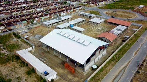 Novas escolas da região metropolitana iniciam pré-matrícula para o ano letivo 2020