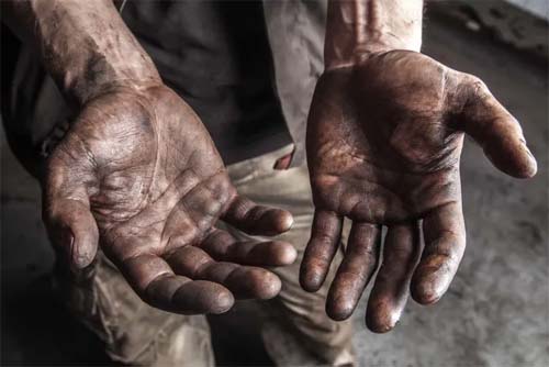 Mais de 70 pessoas foram resgatadas de trabalho análogo a escravidão em Alagoas em 2023, aponta MPT
