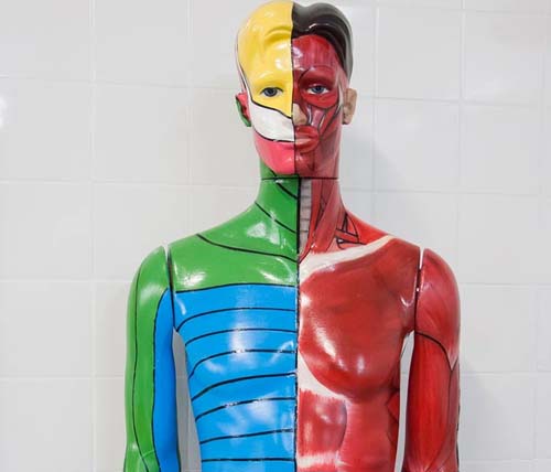 Cursos de medicina têm até dia 31 para adequar estágio ao Mais Médicos