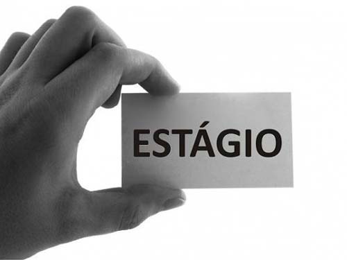 Seris abre seleção para contratação de estagiários em 12 cursos diferentes