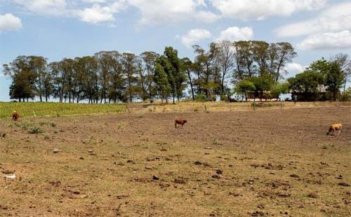 Minador do Negrão e Olho d'Água do Casado têm situação de emergência reconhecida pelo governo federal
