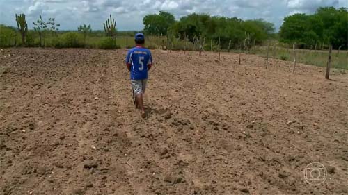 Alagoas tem 39 municípios em emergência por causa da seca ou estiagem