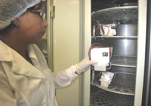 Carnaval: Hemoal está com apenas 28% do estoque de sangue