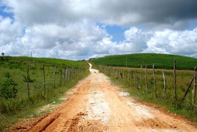 União dos Palmares