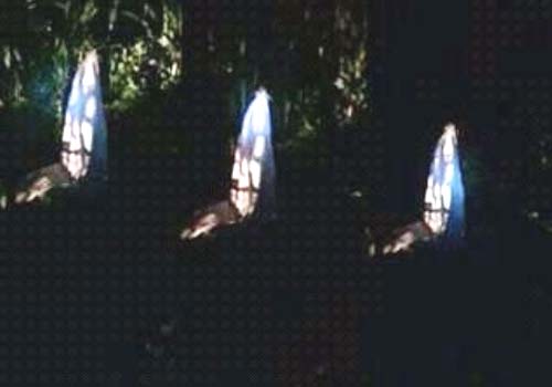 Suposta imagem de Santa aparece em saco de nylon em Estrela de Alagoas 