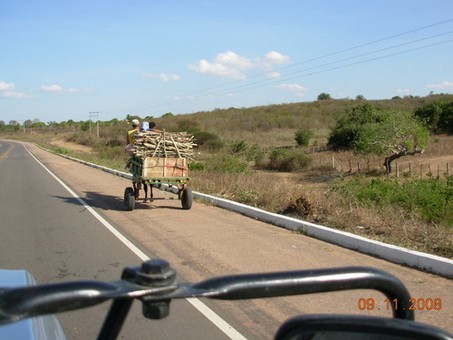 Grupo armado invade residência executa morador e incendeia propriedade em Estrela de Alagoas