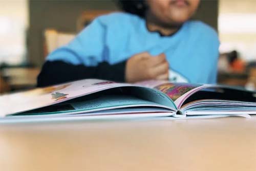 Com índice abaixo da média nacional, Alagoas registra 48,6% de crianças alfabetizadas em 2024, aponta MEC