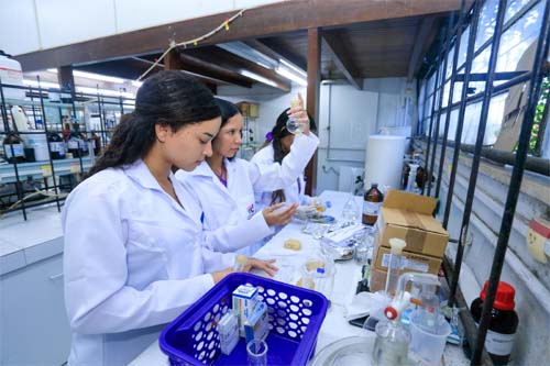 Estudantes da rede estadual são selecionadas para o programa Futuras Cientistas