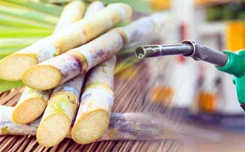 Etanol sem competitividade preocupa e fornecedores em AL temer deixar a atividade