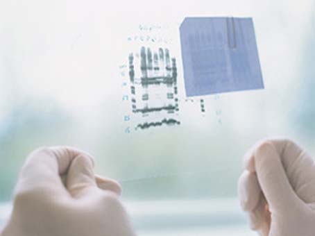 TJ: 524 testes de DNA foram feitos no primeiro semestre de 2011 
