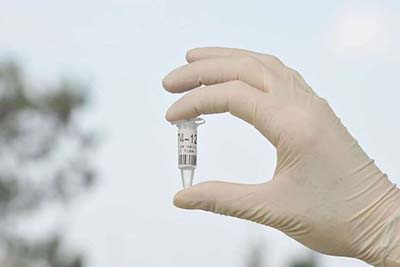 Aposta de Moro, investigações com auxílio de DNA crescem 28% no país