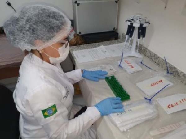 Estupro de jovem no pontal está confirmado, após ter confrontado materiais biológicos