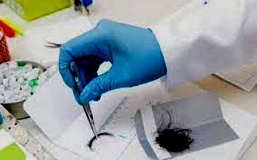 Exame toxicológico para CNH volta a ser exigido e deve ser realizado até dia 28 de dezembro