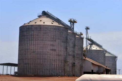 Setor agropecuário responde por quase metade das exportações