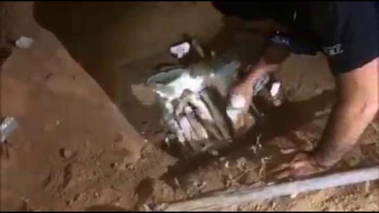 Polícia recupera armas, explosivos e coletes usados em roubo a banco; um é preso