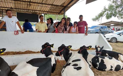 38º Expobacia Leiteira acontecerá de 6 a 9 de outubro no município de Batalha