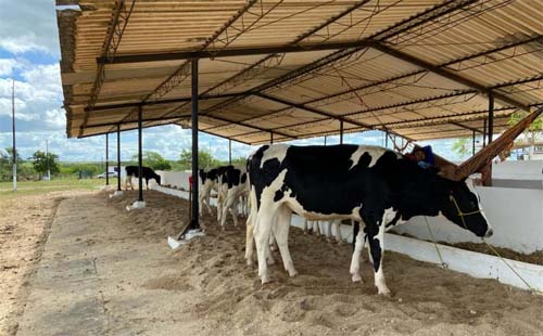 39ª Expo Bacia começou nesta quarta (14) com grande expectativa de público e negócios