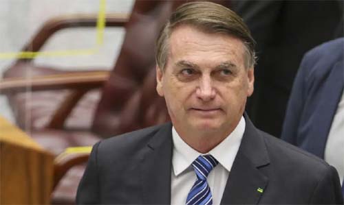 Ficou provado que Bolsonaro não importunou baleia, diz defesa