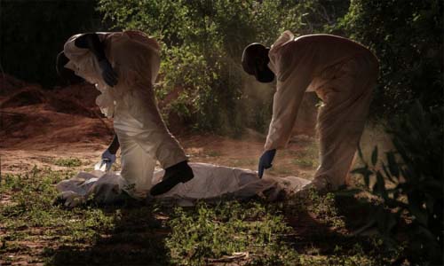 ‘Encontro com Jesus’: número de mortos em seita no Quênia passa de 400