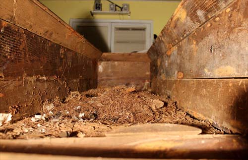 IML vai exumar 180 corpos a partir da próxima quinta-feira