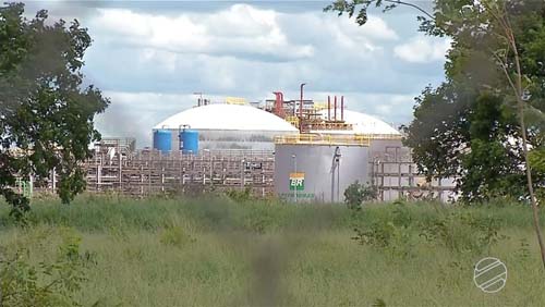 Petrobras deve assinar até fim de agosto protocolo de venda da fábrica de fertilizantes em MS