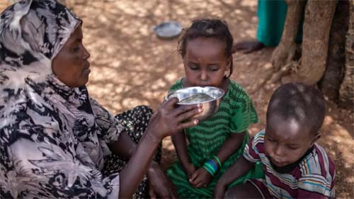 Corrupção leva governos e entidades a suspenderem pagamento de ajuda na África