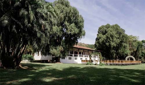 SP confirma mais duas mortes por febre maculosa