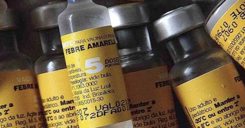 Febre amarela volta a preocupar as regiões Sul e Sudeste