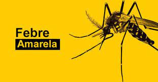 RS declara emergência em saúde pública em razão da circulação do vírus da febre amarela