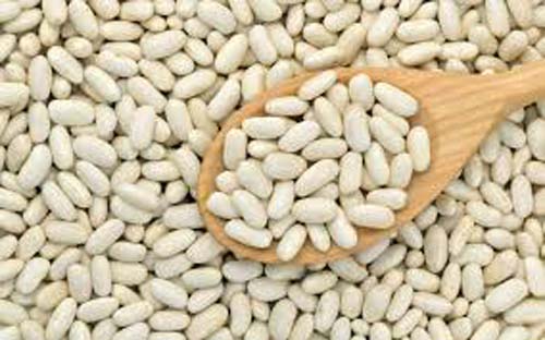 14 Benefícios do Feijão Branco – Para Que Serve e Propriedades 